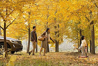 《狐的归途》Switch版本将于2025年1月9日发售